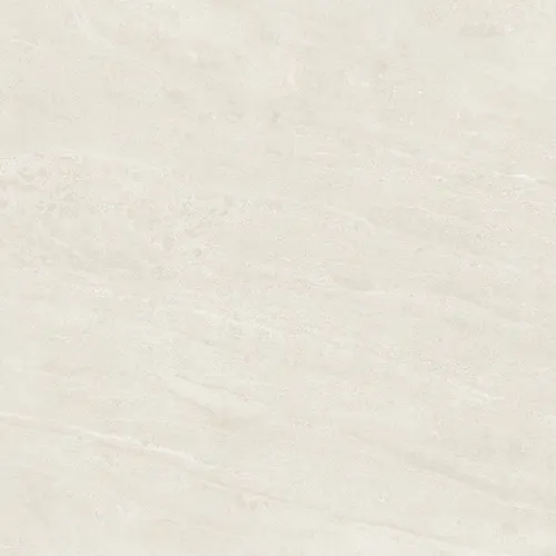 JMP60205