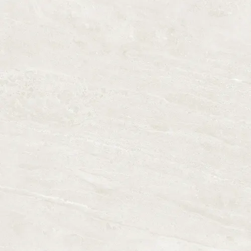 JMP60206