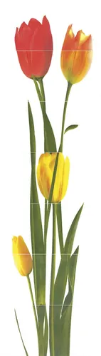 SK튤립(UF 0111)