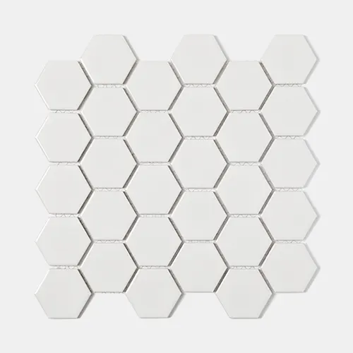 SI 48H100