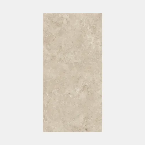 EVOLUTION BEIGE 612